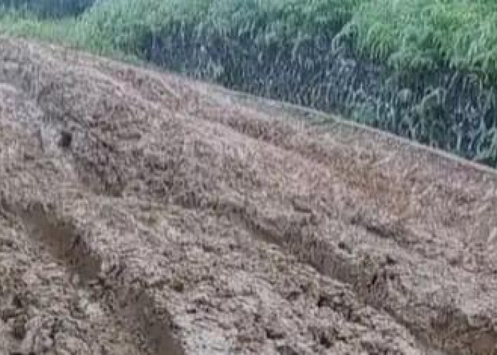 Jalan Rusak Parah di Ulu Alas, Kader Gerindra Seluma Usulkan ke Presiden