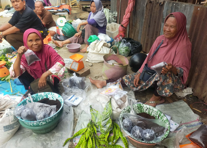  Pedagang Bubuk Kopi Bengkulu Selatan Mengeluh, Pembeli Sepi 