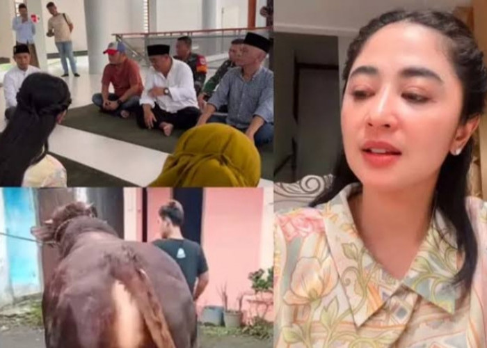 Mis Komunikasi Sapi Kurban Depe Ditolak.. Dewi Perssik Kekeh Ogah Salahkan ART.. Malah Bilang Karena Ini