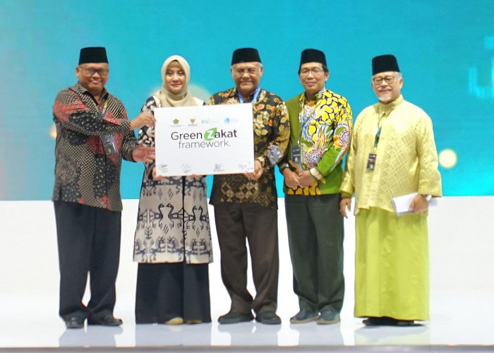 Green Zakat Framework, Program BAZNAS dan BSI