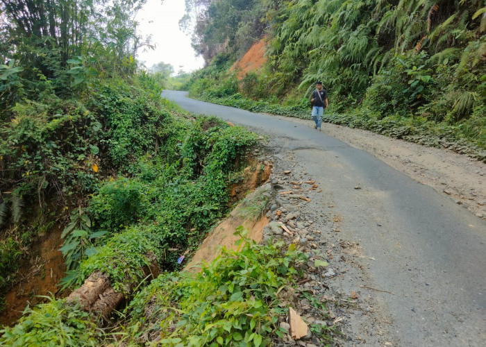 Jalan Napal Jungur di Seluma Jadi Prioritas APBD 2024