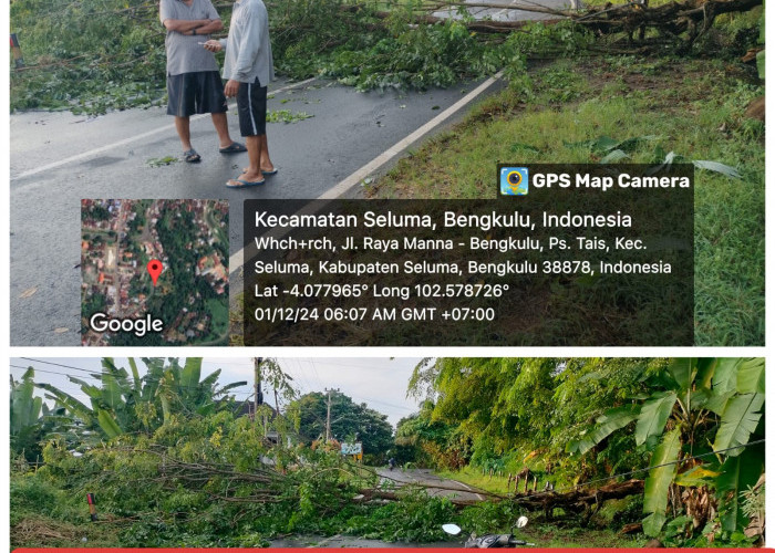 Akibat Hujan Deras dan Angin Kencang Perbatasan Lubuk Kebur Tais Terputus 