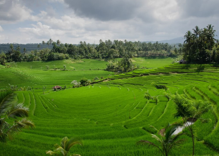 LP2B Capai 87,63% di Momen Peringatan 66 Tahun UUPA