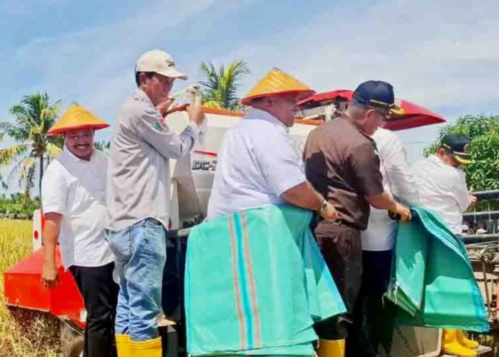 Panen Padi Gapoktan Anugrah Tani Sejahtera BS Berhasil,  Capaian Melebihi Target