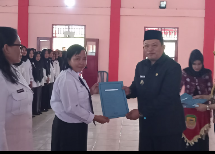 Guru Honorer di Bengkulu, 12.279 Tenaga Honorer Diangkat PPPK 2024 Tanpa Tes! Cek Nama Kalian, Ini Caranya