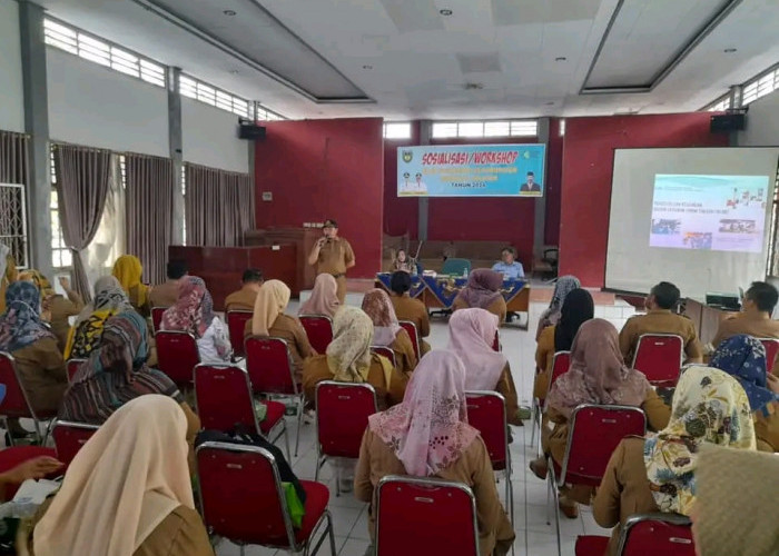 Workshop  BLUD Puskesmas Bengkulu Selatan, Agar Profesionalisme Meningkat