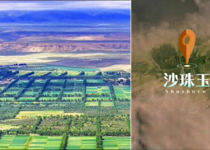 Qinghai Seimbangkan Restorasi Ekologi dengan Ambisi Energi Bersih