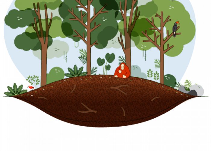 Status Lahan HPT, Apakah Bisa Digarap Petani? Ini Penjelasan Lengkapnya