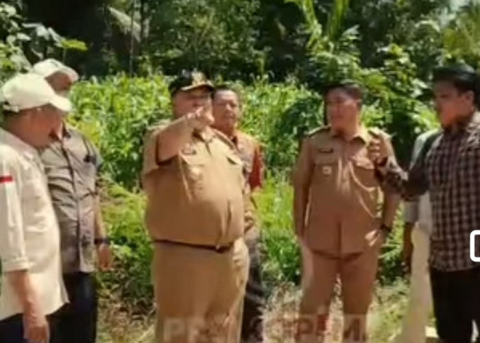 Bendungan Palak Siring  Kedurang Pendangkalan, Bupati Tinjau Pengerukan