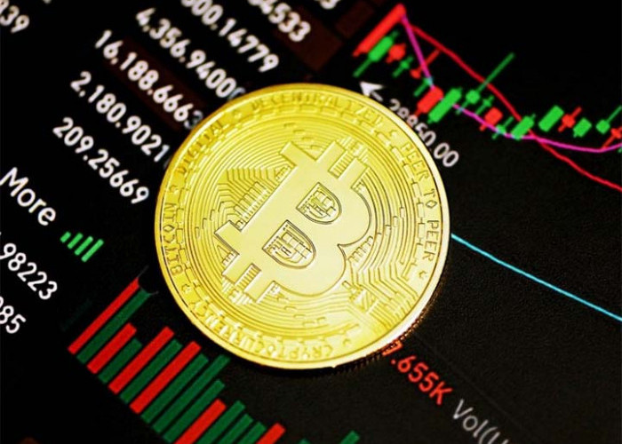 Sebelum Bermain Mari Mengenal Dulu Keuntungan dan Kerugian yang di Dapat Dari Bermain Crypto