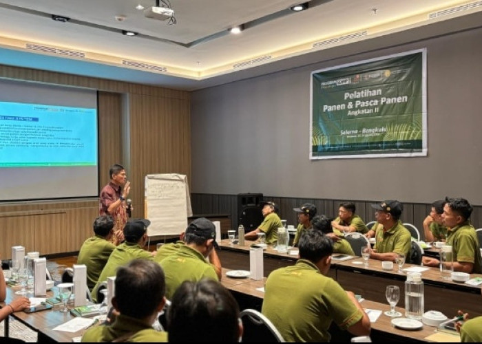 AKPY, BPDP dan Ditjenbun: Perbaiki Cara Panen, Cara Cepat Dongkrak Pendapatan Pekebun Seluma