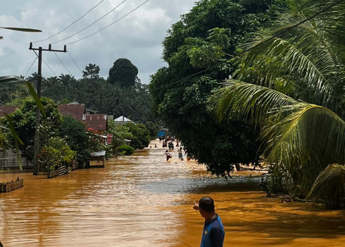 Warga Seluma Terdampak Banjir Butuh Air Bersih, Sumur Warga Tercemar