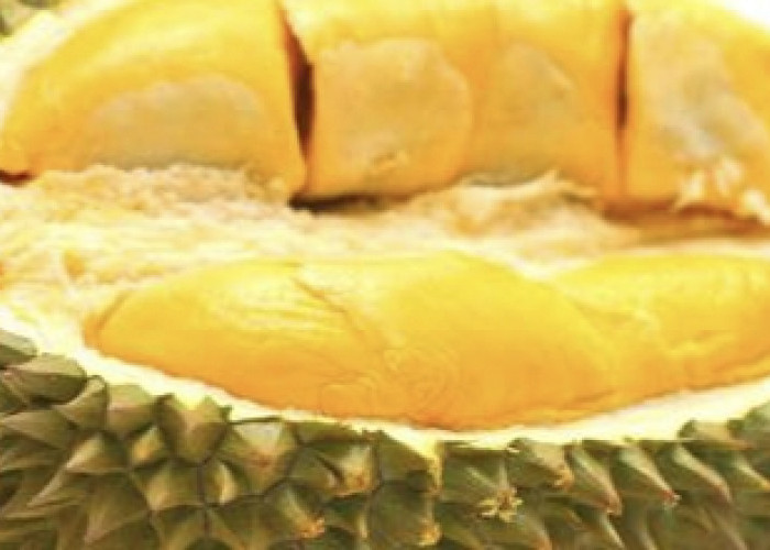 Mitos apa Fakta, Durian Mengandung Kolestrol