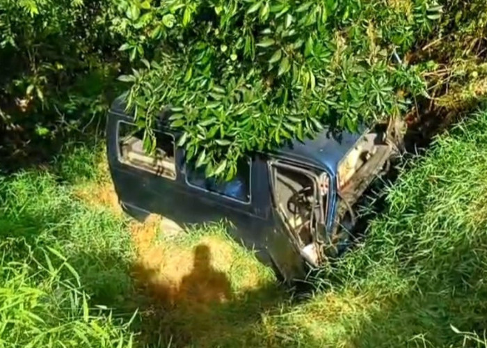 Akibat Gagal Menyalip Truk, Minibus Terjun ke Jurang di Padang Pelasan Seluma