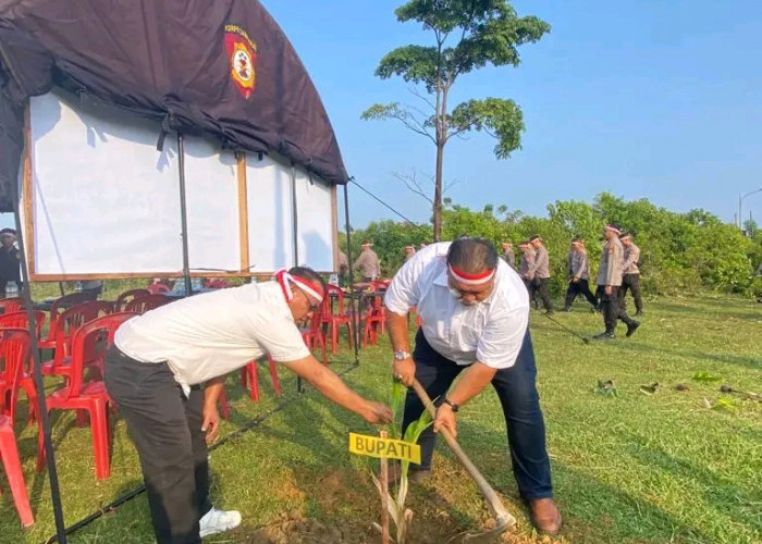 Taman Kota Bengkulu Selatan Pas Jadi Pusat Wisata Keluarga! Harus Dilengkapi Fasilitas