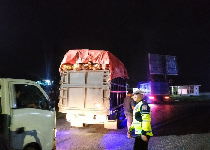 Sosialisasi Awal,  Truk Sawit ODOL Hanya Ditegur Satlantas Polres Seluma
