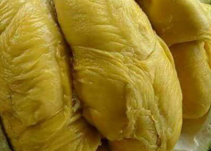  Thailand  Punya Durian Tak Berbau Menyengat. Rasanya...
