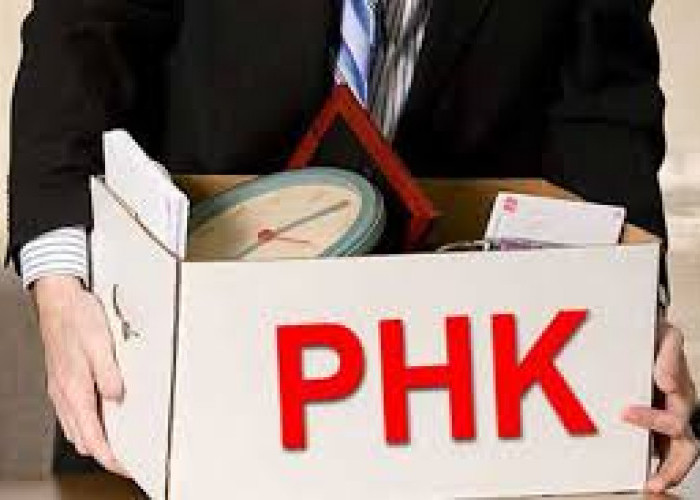 Ngeri!  PHK Meningkat 23,7% yoy Pada Periode Jan-Aug 2024