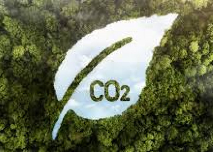  Sustainability Economics Dan Asia Carbon Institute, Minta  Penghentian Pembangkit Listrik Tenaga Batubara di 