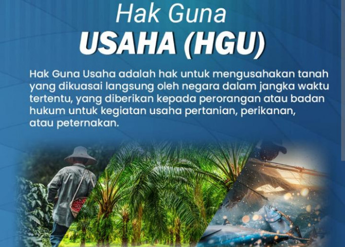 Berapa Luas Tanah yang Harus Menjadi HGU? Ini Penjelasan Berdasarkan Aturan