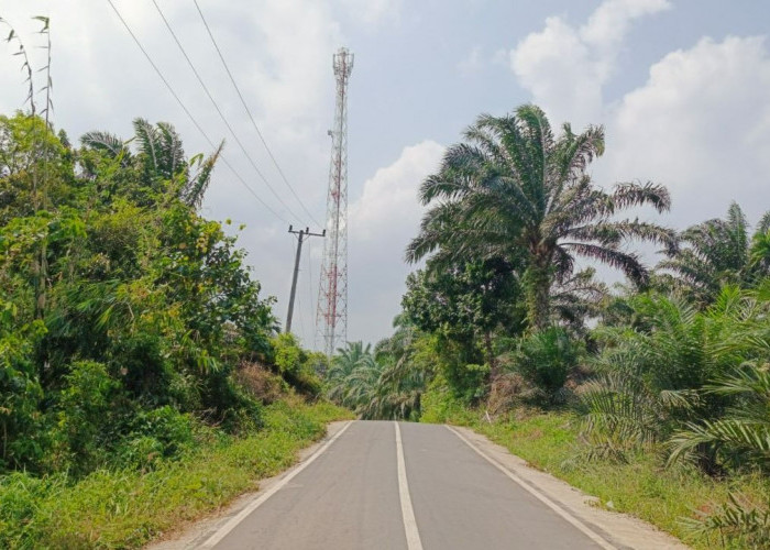 Desa Tenangan Keterbatasan Jaringan Internet, Kinerja Pemdes Terhambat
