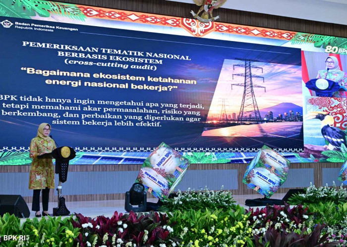  BPK Kawal Program Ketahanan Energi dari Hulu ke Hilir, Lakukan Pemeriksaan Tematik Nasional