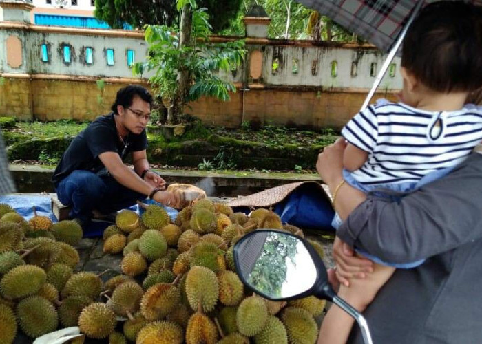 Di Seluma, Durian Sering Dituding Bahayakan Kesehatan, Penyebab Kolesterol, Gangguan Jantung, Tetapi Ternyata.