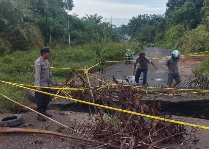  Pemkab Seluma Siapkan Rp 250 Juta, Tangani Jalan Putus Akses ke Pasar Sembayat