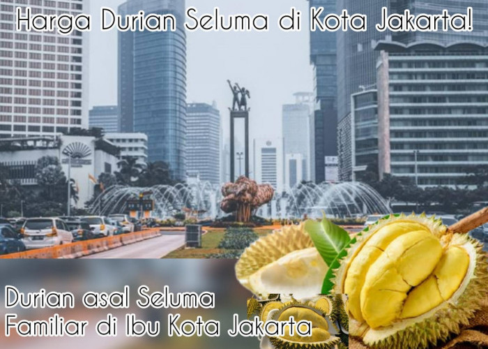 Durian Nikmat dan Mantap, Harga di Jakarta Luar Biasa! Berikut Perbandingannya dengan Provinsi Bengkulu!