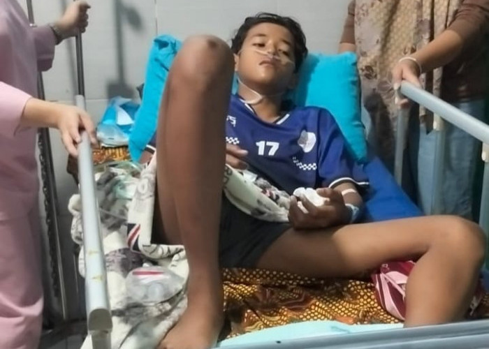  Remaja Ini Naas, Tersengat Listrik Saat Petik Kelapa Muda