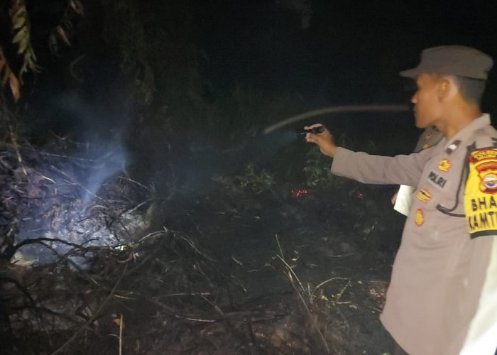  4 Hektar Lahan Gambut di Seluma Terbakar, Lahan Gudang G Net