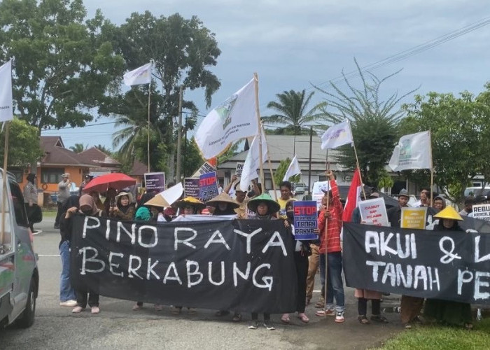 Demo ke Kantor Bupati Soal Konflik dengan PT.ABS, Petani Pino Raya Minta Kepastian 