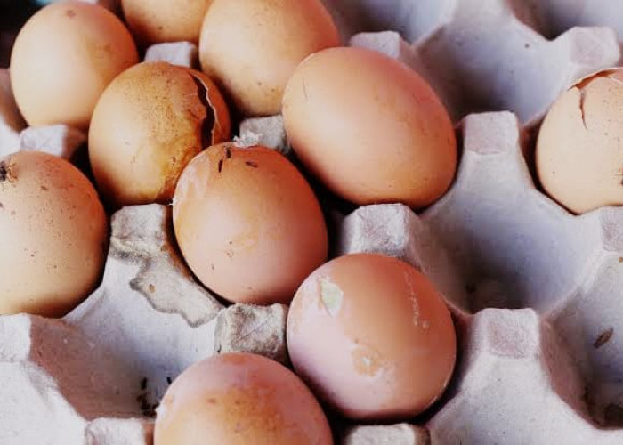 6 Tips Membeli Telur, Jangan Sampai Beli Telur Busuk! ikuti Cara Ini!