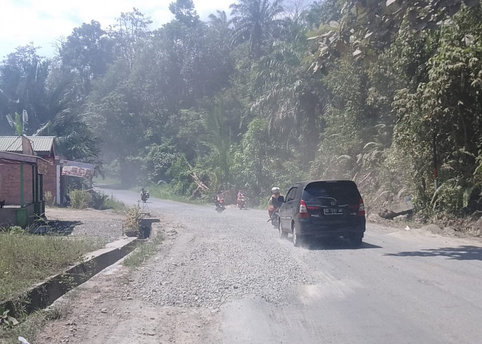  Pandangan Terhalang Debu, Pengendara Terjatuh   