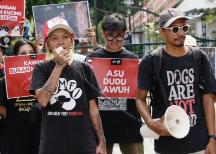 Koalisi DMFI Lakukan Aksi, Desak Pemrpov  DIY Terbitkan Perda Pelarangan Perdagangan Daging Anjing dan Kucing