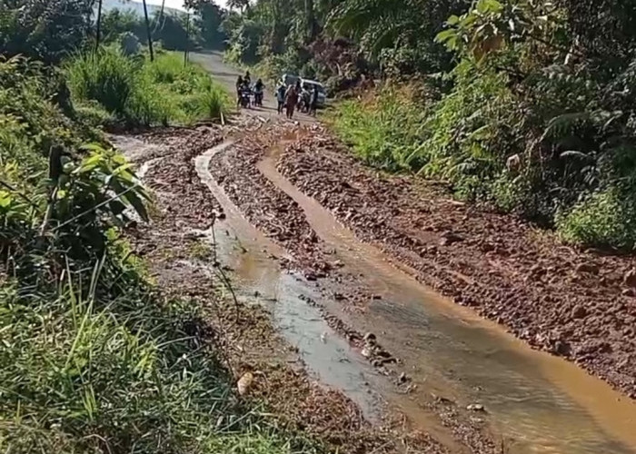   Akses Jalan ke Desa Napal Jungur Tertutup Longsor Akibat Hujan Deras