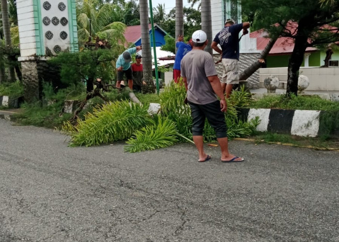  Pohon Tutupi Tulisan Gapura Selamat Datang Ditebas DLHK