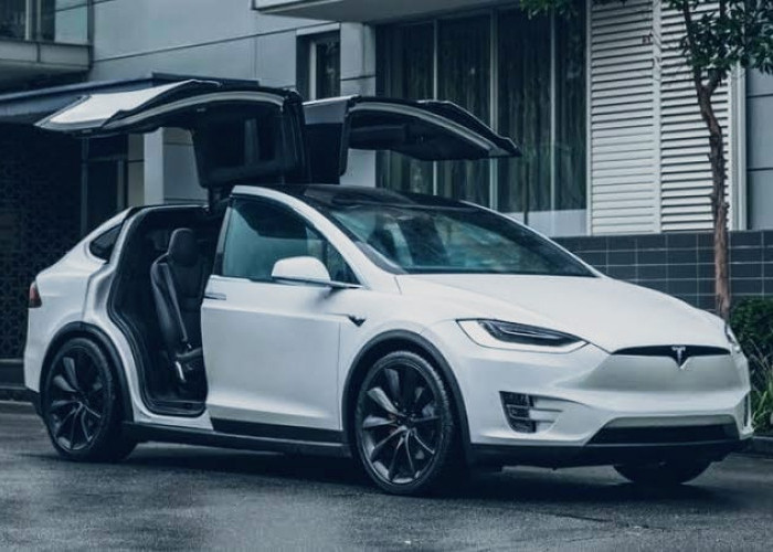 Siapa Saja yang Punya Mobil Tesla di Indonesia?? Simak