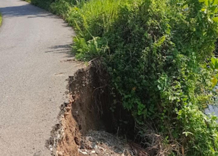 Jalan Amblas Semakin Melebar, Belum Ada Tanda - Tanda Diperbaiki