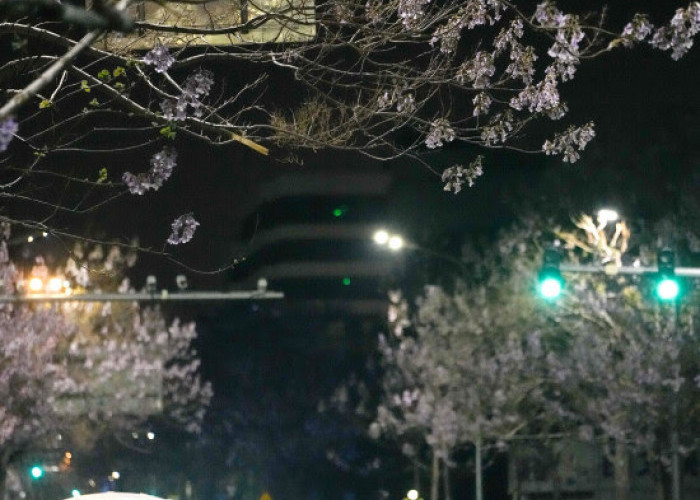   Full-Process, All-Element Test Run Conducted for 2026 Beijing E-Town Humanoid Robot Half-Marathon