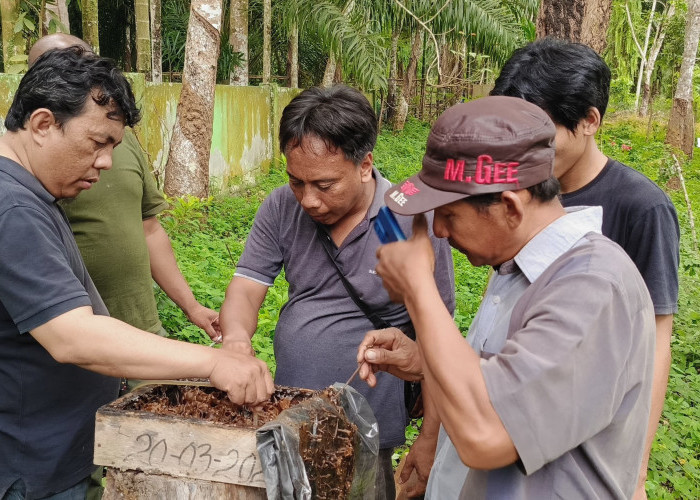 Simak Kisah Desa Penghasil Madu Di Seluma