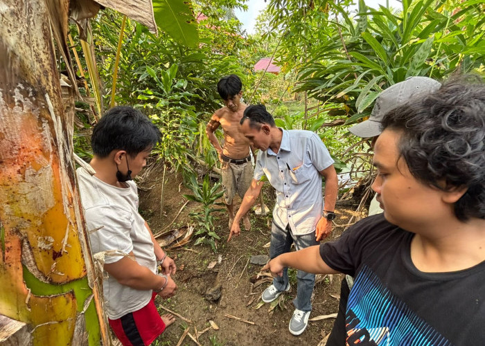 Terlibat Curat, Sopir Travel yang Buron Sejak 2023 Dibekuk, 7 Handphone Dikubur di Kebun Sawit