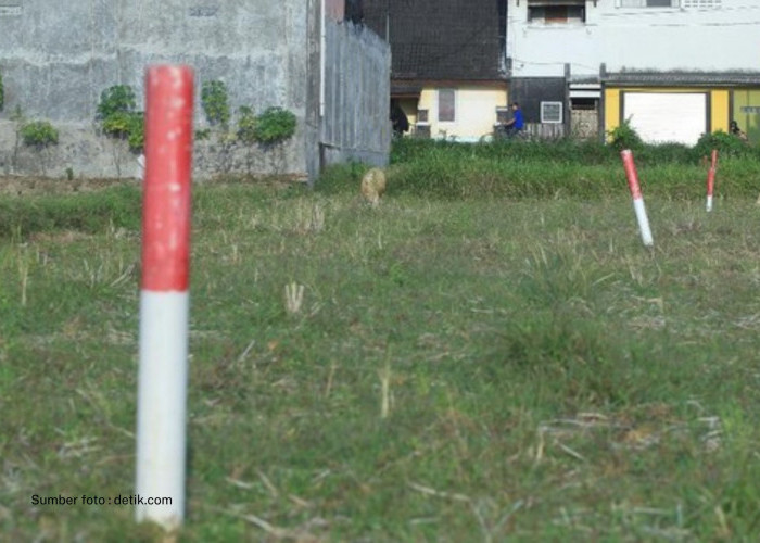 Simak Tips untuk Menjaga Tanah agar Tidak Diserobot Orang Lain