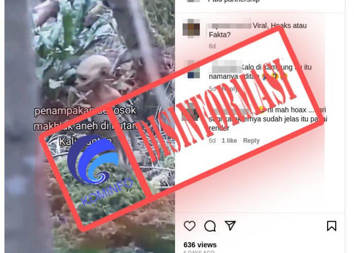 Hoaks Ya : Penampakan Makhluk Aneh di Hutan Kalimantan, jangan Ikut Ngeshare