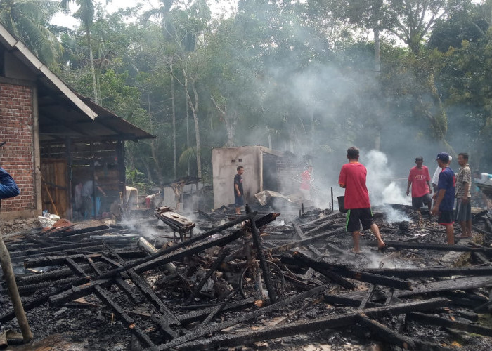  Ditinggal Jemur Padi, Rumah dan 2 Motor  Habis Terbakar