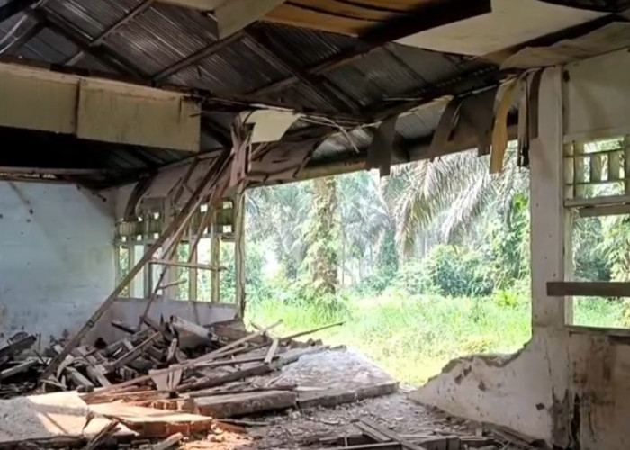   Kondisi SDN 178 Seluma Sangat Memprihatinkan, Luput Revitalisasi, Siswa Belajar di Ruang Darurat
