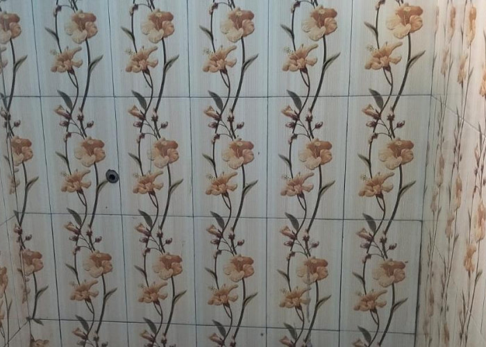 Pergantian Keramik di Proyek Toilet Sekolah Dicurigai LSM Pelangi   '