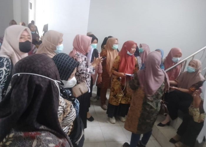 Puluhan Tahun Mengabdi Belum Jadi PPPK, Masuk Database BKN, Bidan Desa Nilai BKPSDM Seluma Tidak Becus