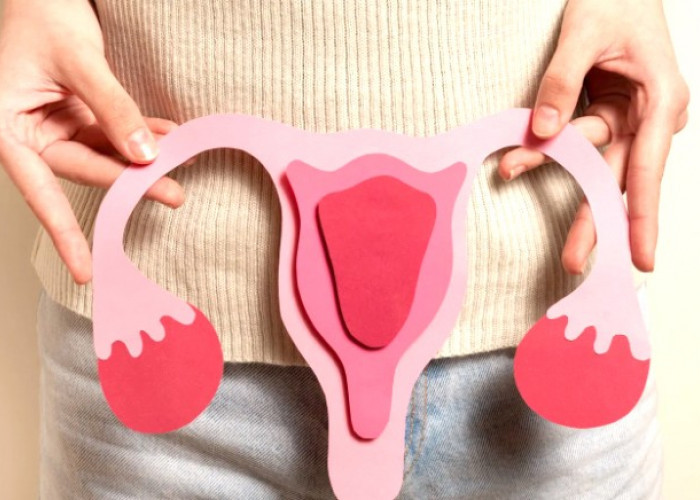 Teknologi Radioterapi Presisi Tinggi Buka Harapan Baru Bagi Pasien Kanker Serviks     