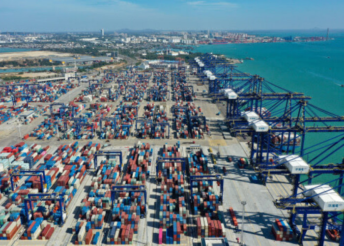 Hainan FTP's First Month of Island-Wide Special Customs Operations Boosts Economic Vitality